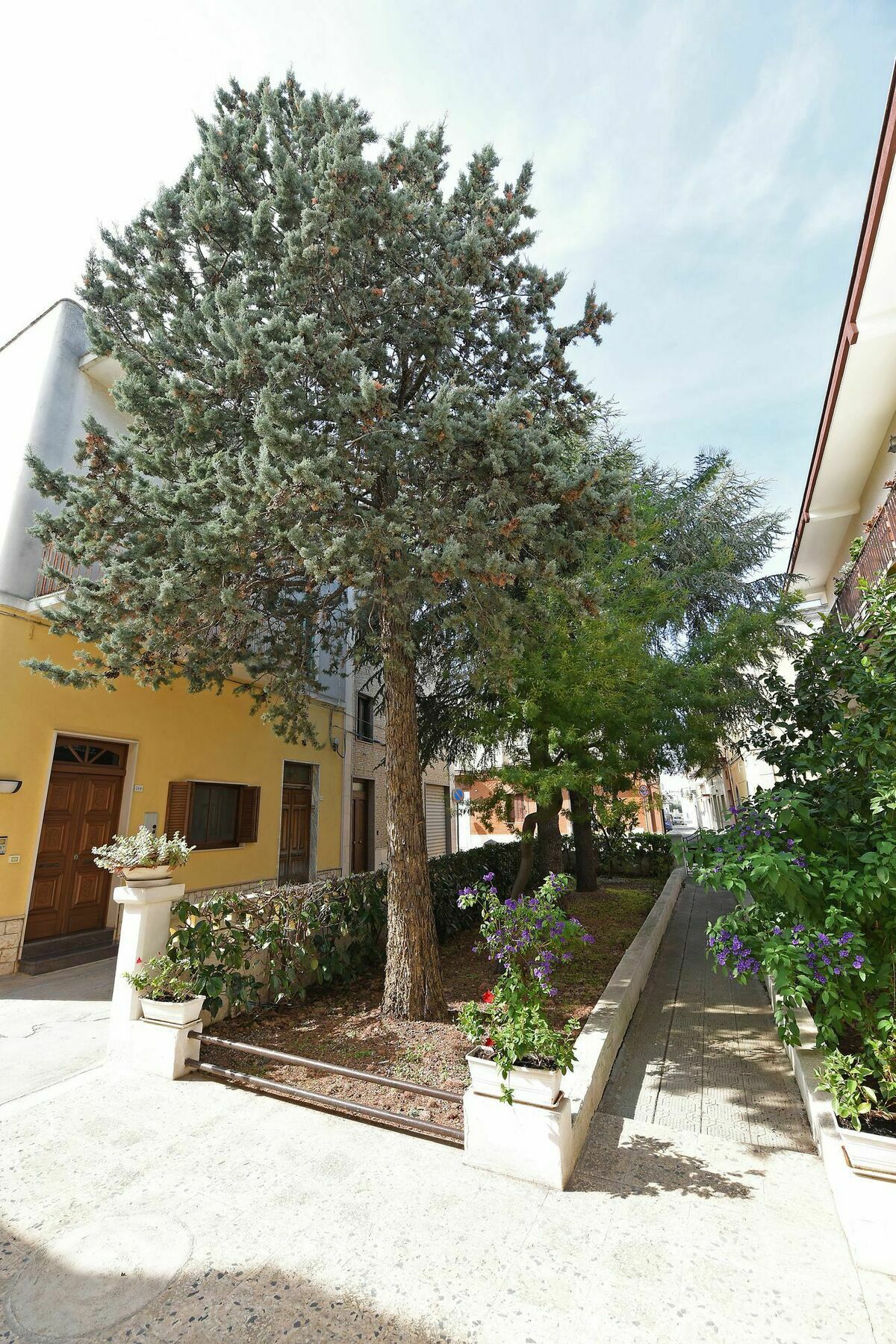 Villa Ricciardi-Suite Famigliare 1-Zona Ostuni Montalbano  Buitenkant foto